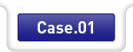 Case.01