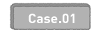 Case.01