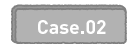 Case.02