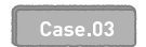 Case.03