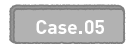 Case.05