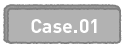 Case.01