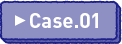 Case.01