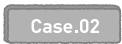 Case.02