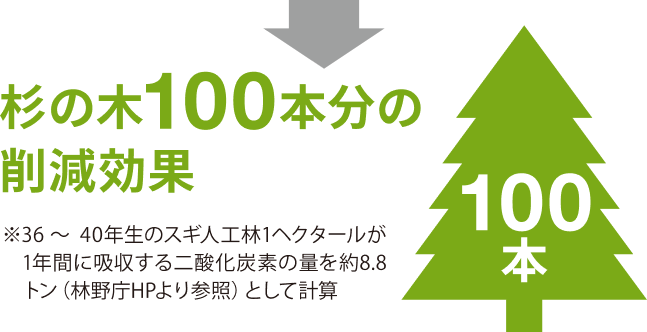 杉の木100本分の削減効果