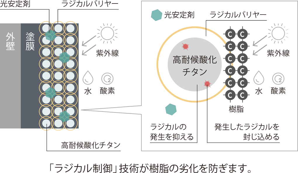 ラジカルバリヤーと光安定剤のイメージ
